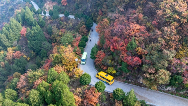 “瞰見秦嶺 詩畫終南”媒體景區行活動 邂逅南五臺秋韻