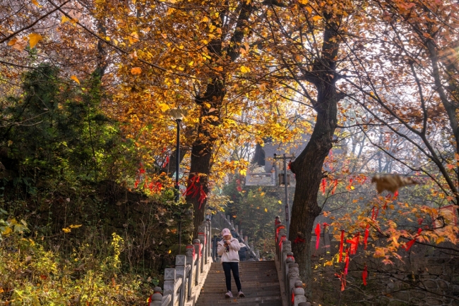 “瞰見秦嶺 詩畫終南”媒體景區行活動 邂逅南五臺秋韻
