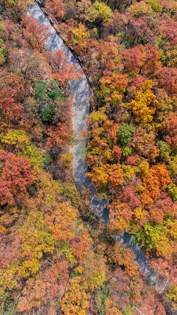 “瞰見秦嶺 詩畫終南”媒體景區行活動 邂逅南五臺秋韻